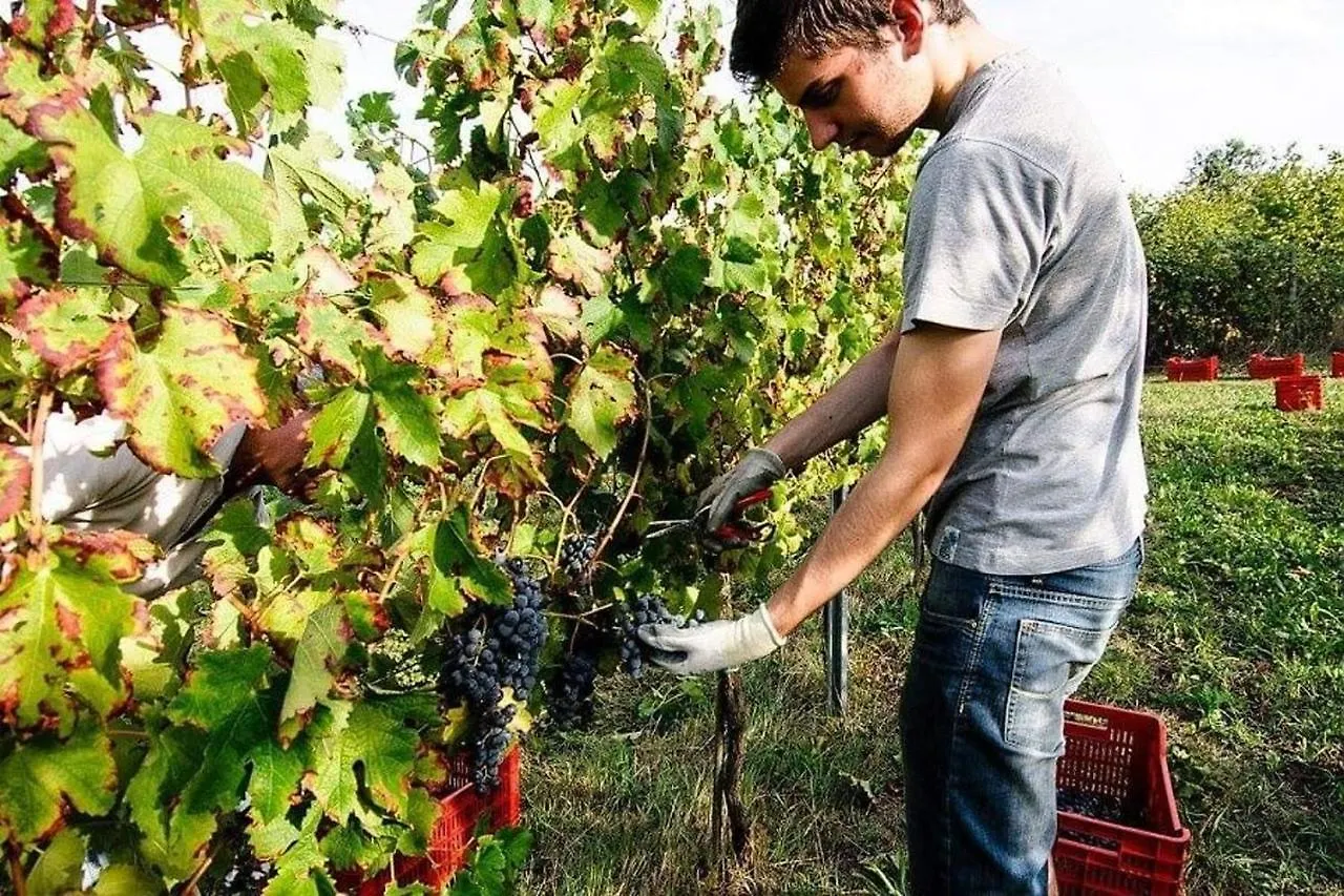 Agriturismo Podere Prasiano Marano sul Panaro Farm stay