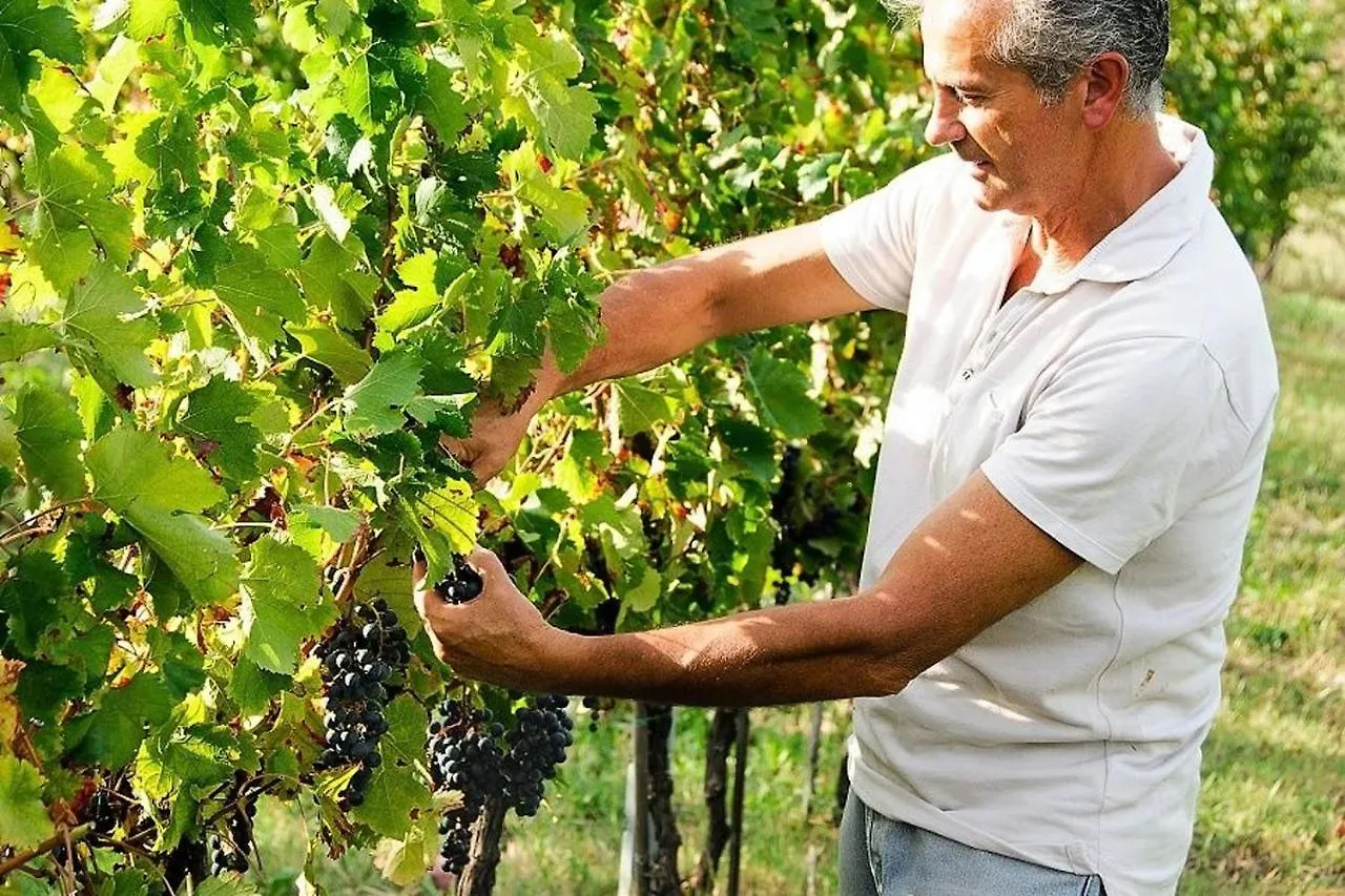 Farm stay Agriturismo Podere Prasiano Marano sul Panaro Italy